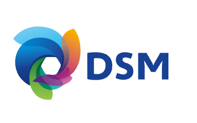 DSM